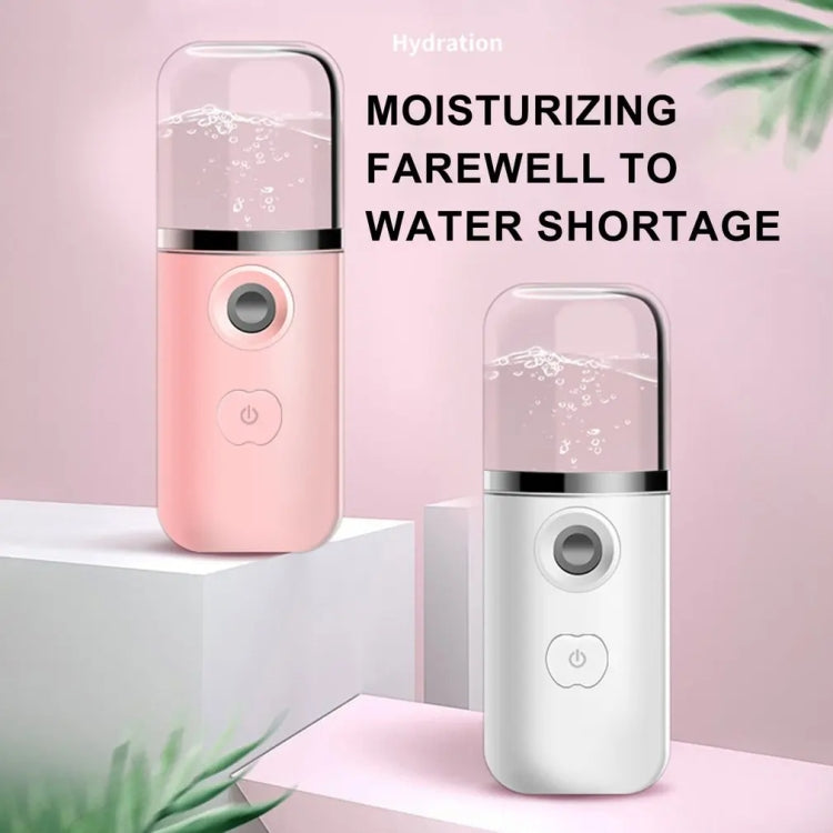30ml Handheld Alcohol Disinfectant Instrument USB Interface Hydration Meter Humidifier, White, Pink, Green, Blue